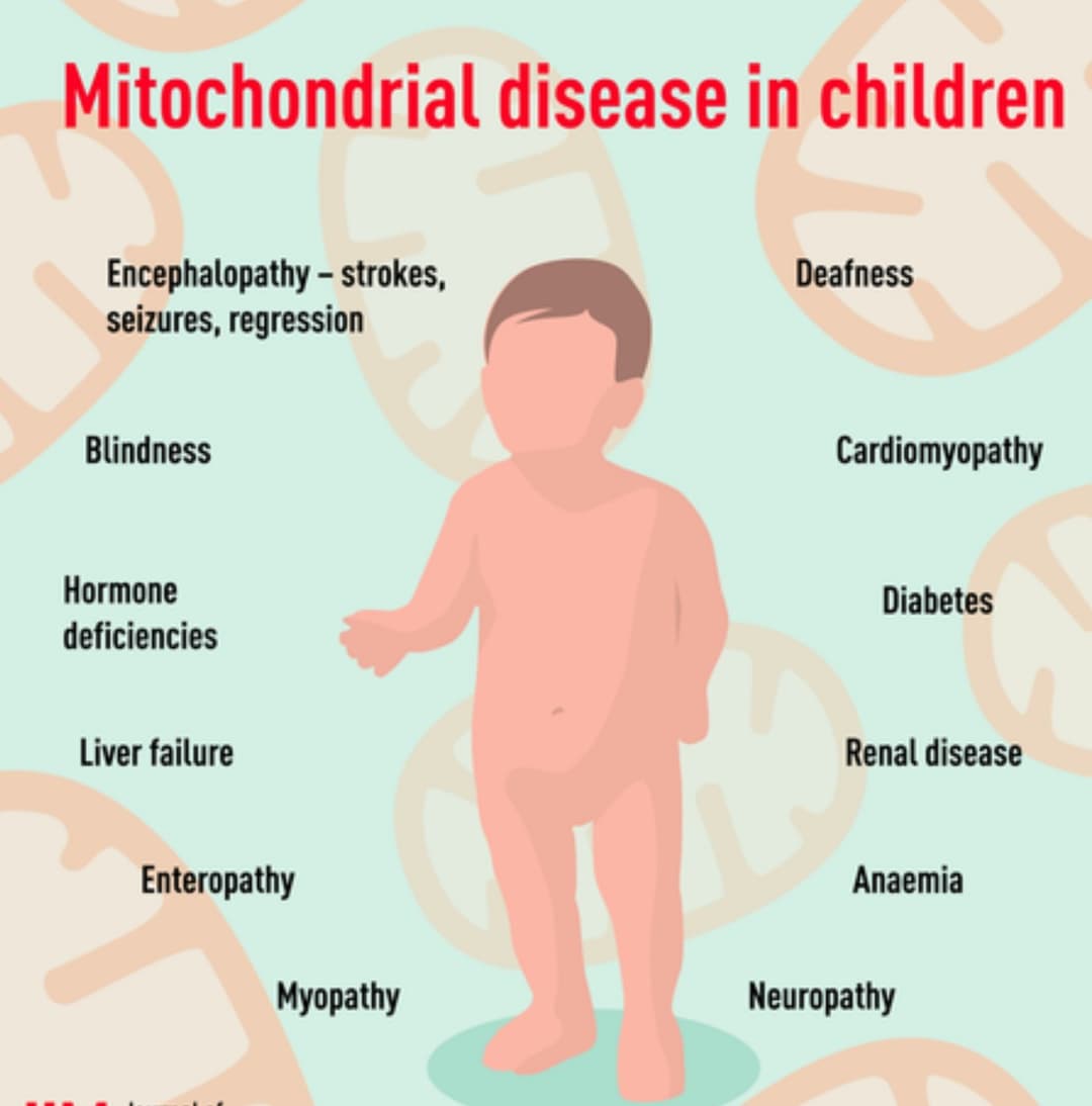 Mitochondria Image
